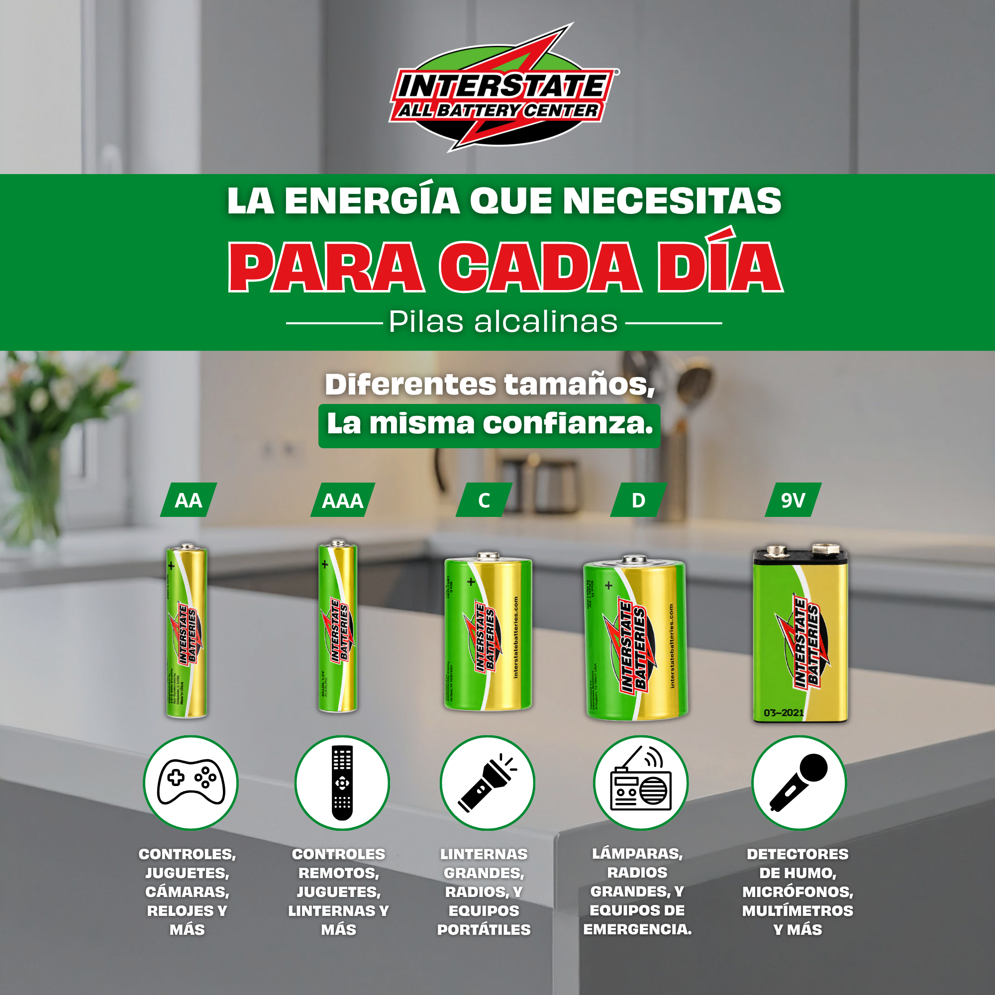 Pilas Alcalinas